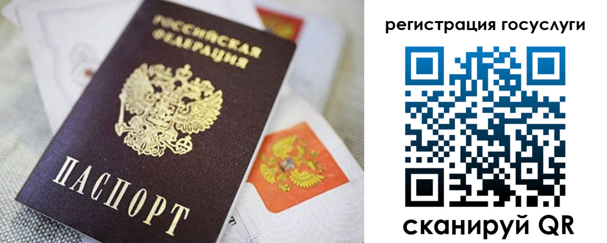 прописка паспорт в Волгодонске
